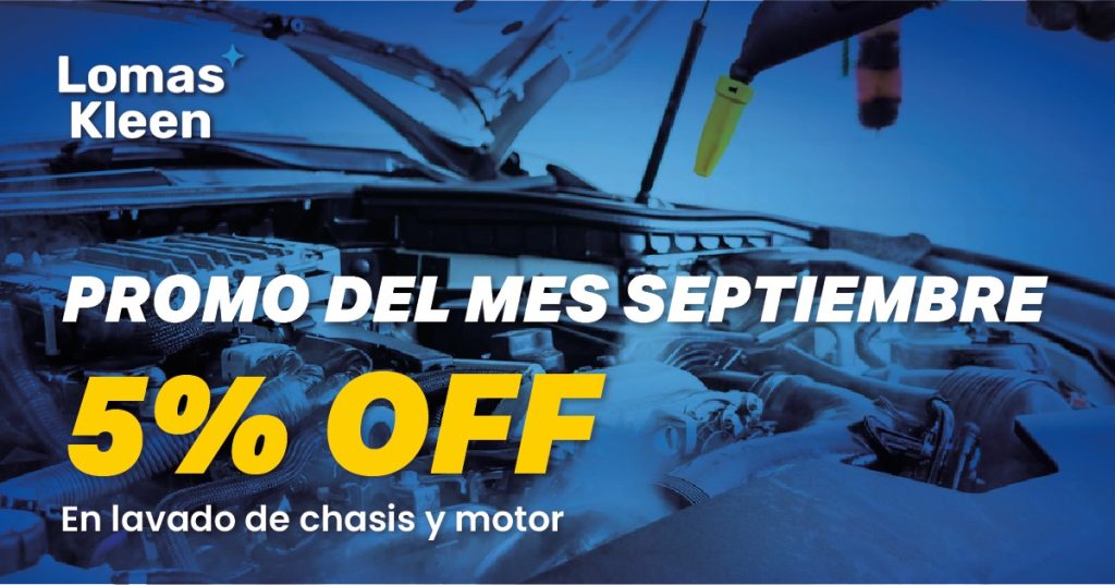 lavado chasis y motor